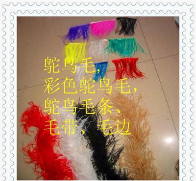 鸵鸟羽毛 从原毛进口到舞台闪耀的时尚与艺术辅料